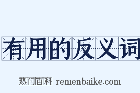 有用的反义词是什么意思的图片